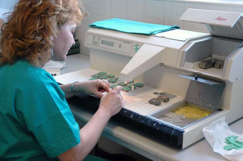 La ULPGC se convierte en la entidad canaria que más proyectos ha obtenido / TA